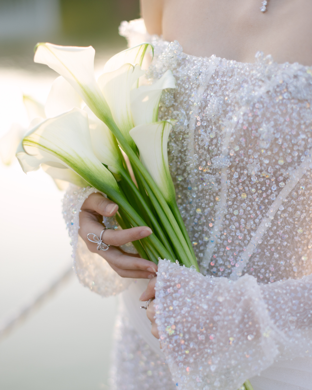 A whisper of forever - New Bridal Collection
