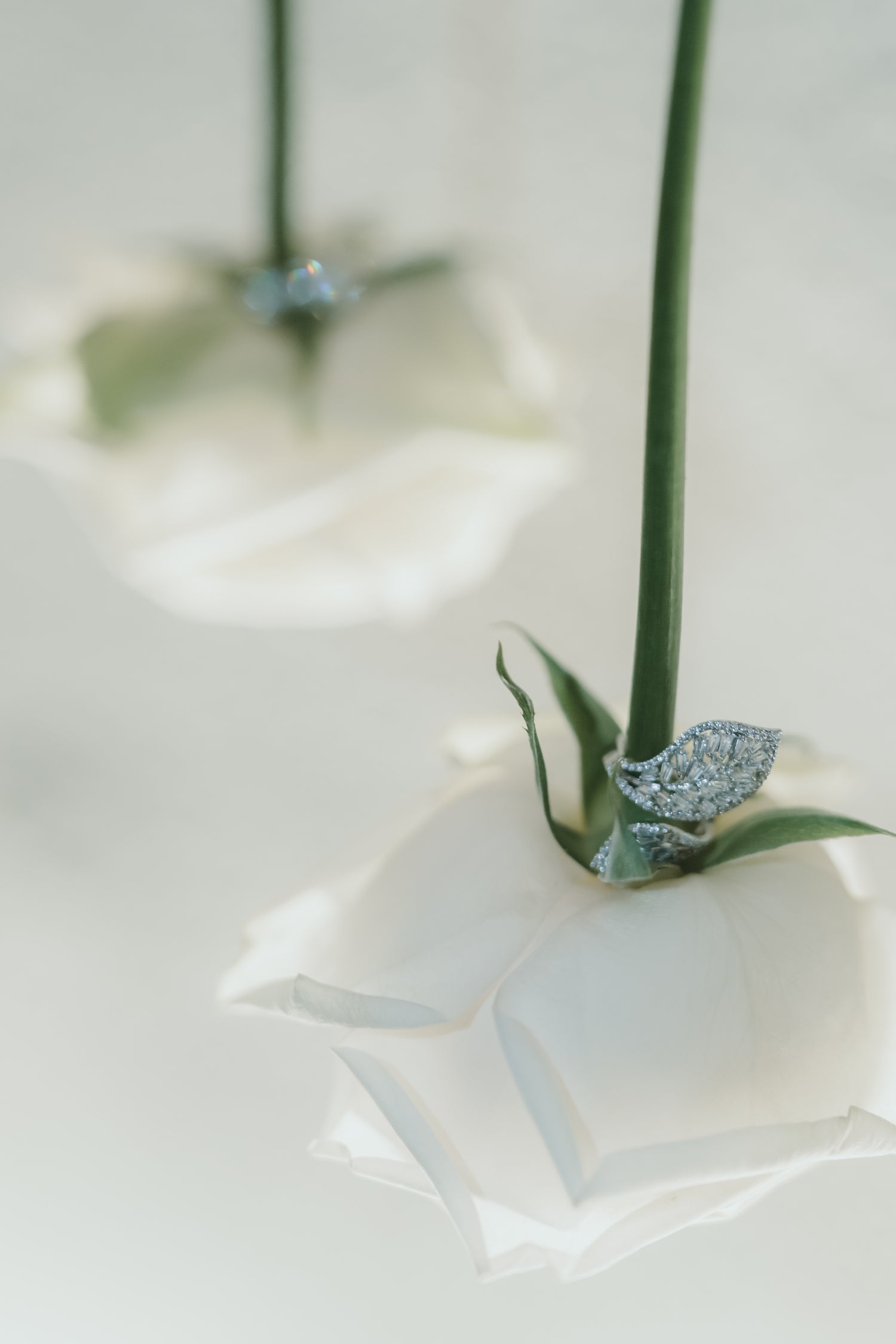 Grand Diamond Leaf Ring