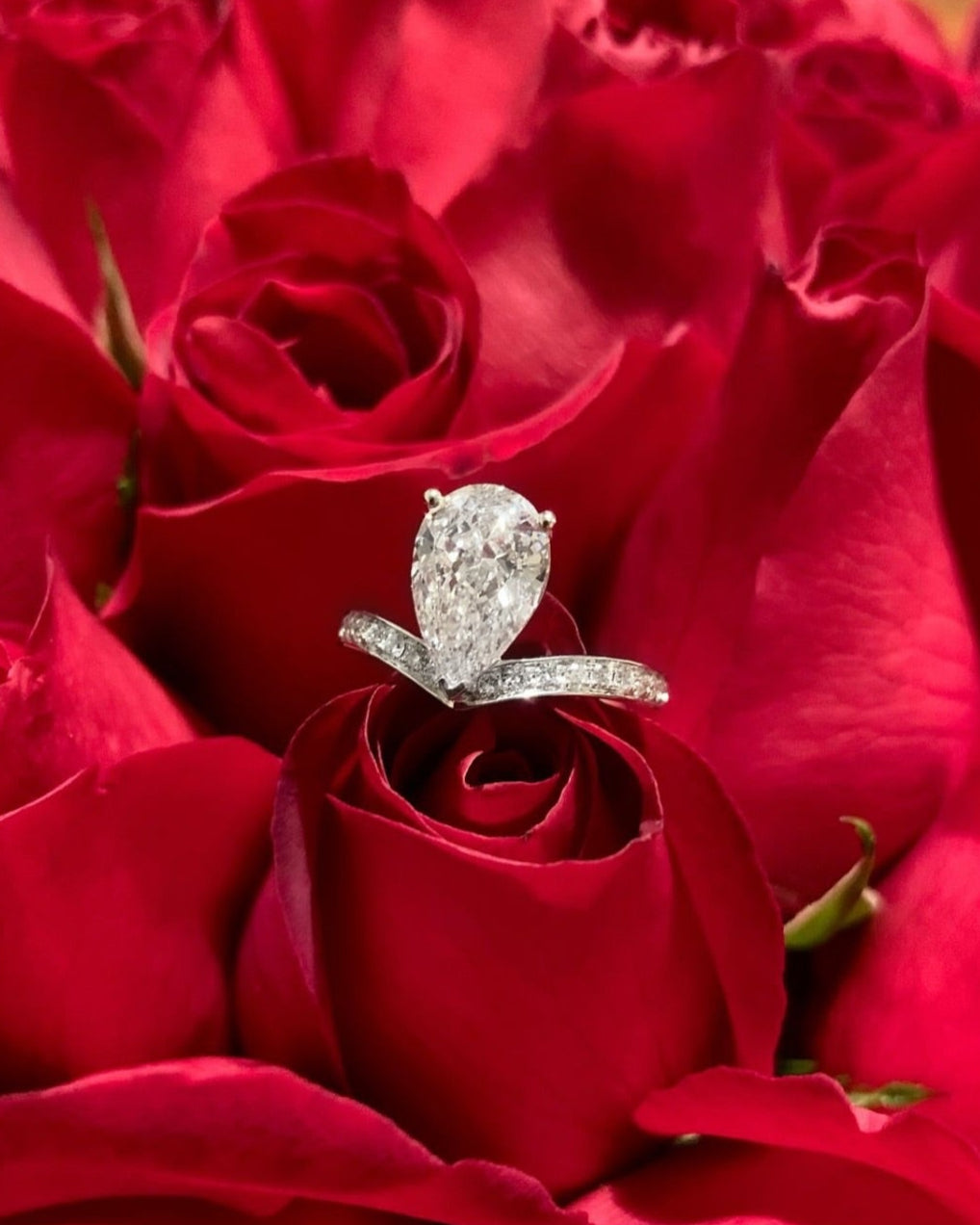 Pear-shaped Diamond Engagement Rings