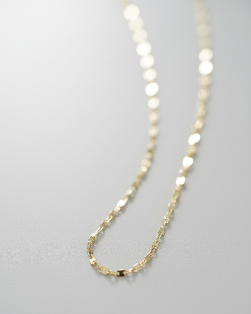 Diamond Cut Rolo Chain Necklace